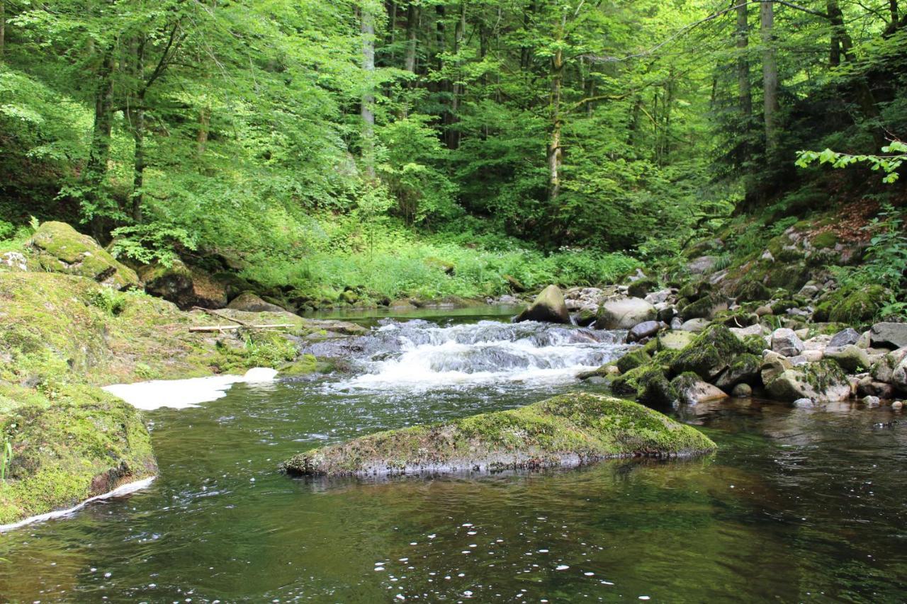 Ferienwohnung Hofleben Reiner Neukirchen vorm Wald Bagian luar foto
